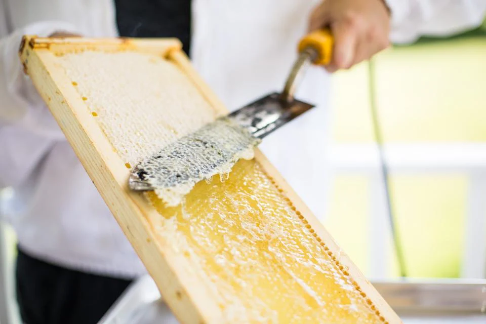 Pure Artisan Honey and Beeswax